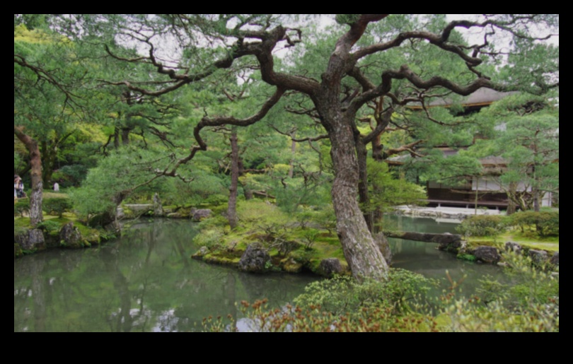 Doğada uyum: Japon bahçe sırları